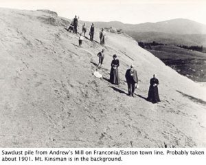 People on sawdust pile