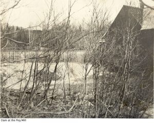 Dam at the Peg Mill