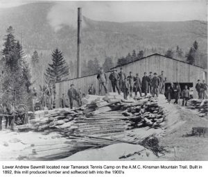 Lower Andrew Sawmill