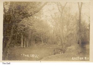 The Dell