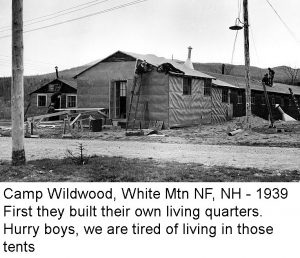 Camp Wildwood