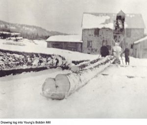 log being pulled into mill