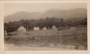 Gray Farm