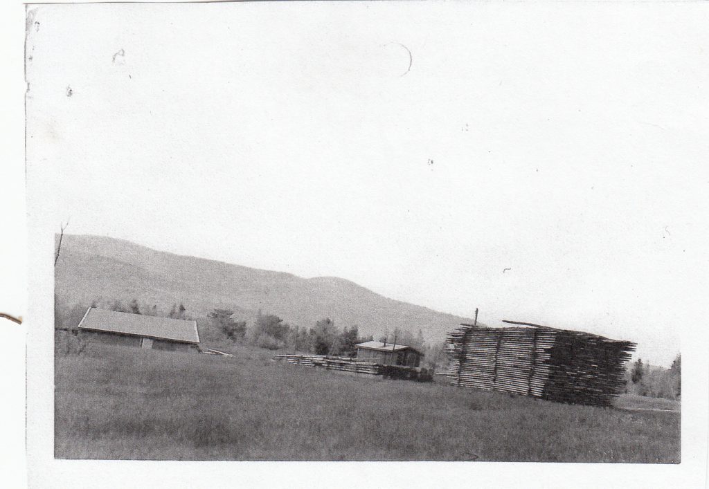 Sam Elis logging camp