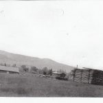 Sam Elis logging camp