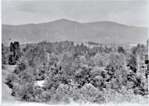 View from Young Place