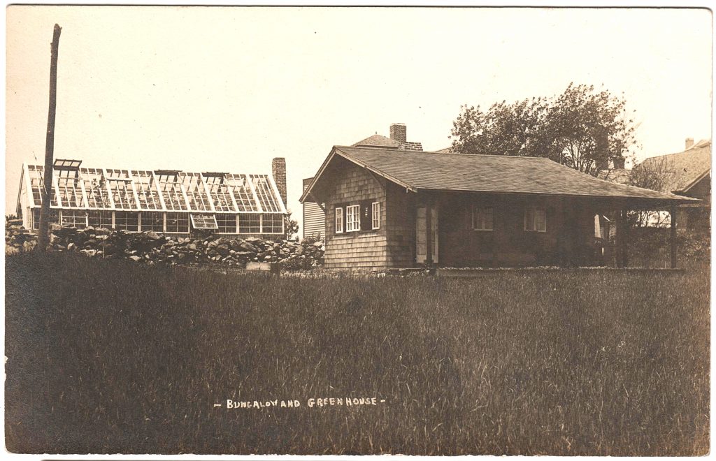 Bungalow and Greenhouse