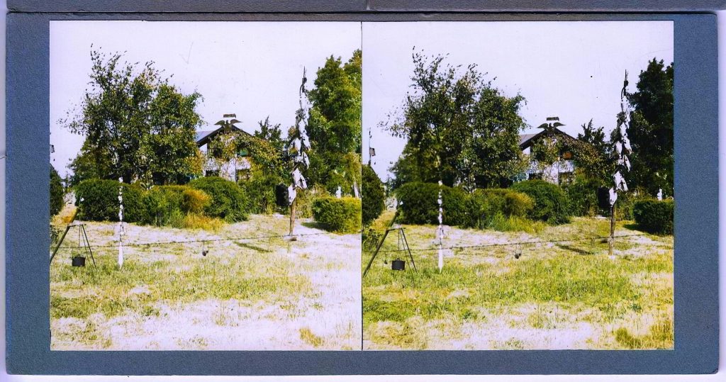Winter Zero's Bottle Farm, house with cow skills on pole colorized, September 27th, 1939