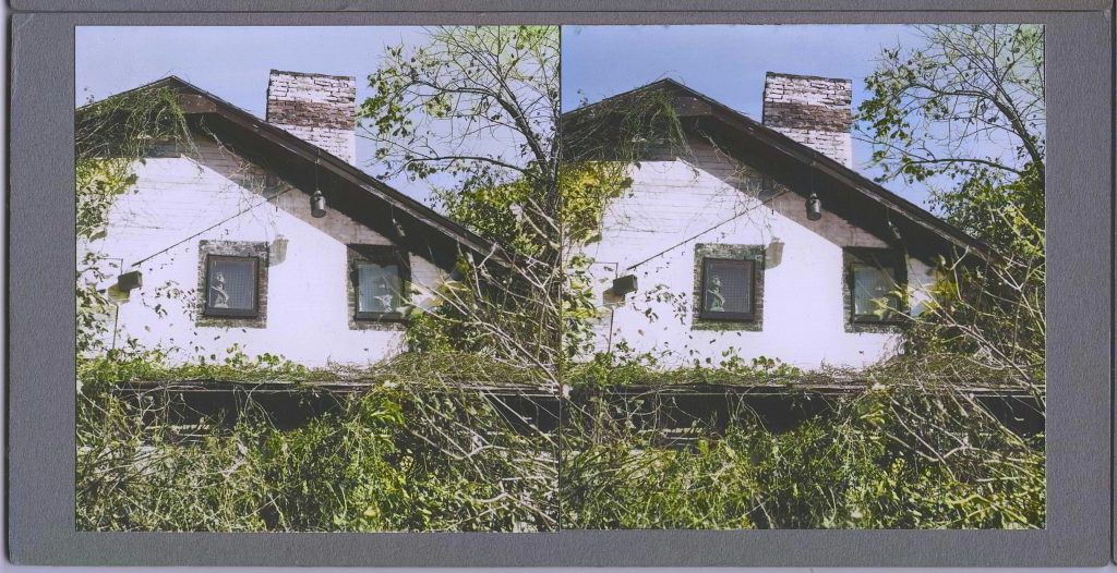 Winter Zero's Bottle Farm, house with busts in windows colorized, October 12, 1939