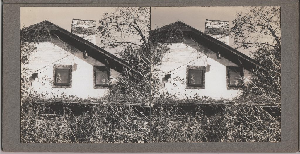 Winter Zero's Bottle Farm, house with busts in windows, October 12, 1939