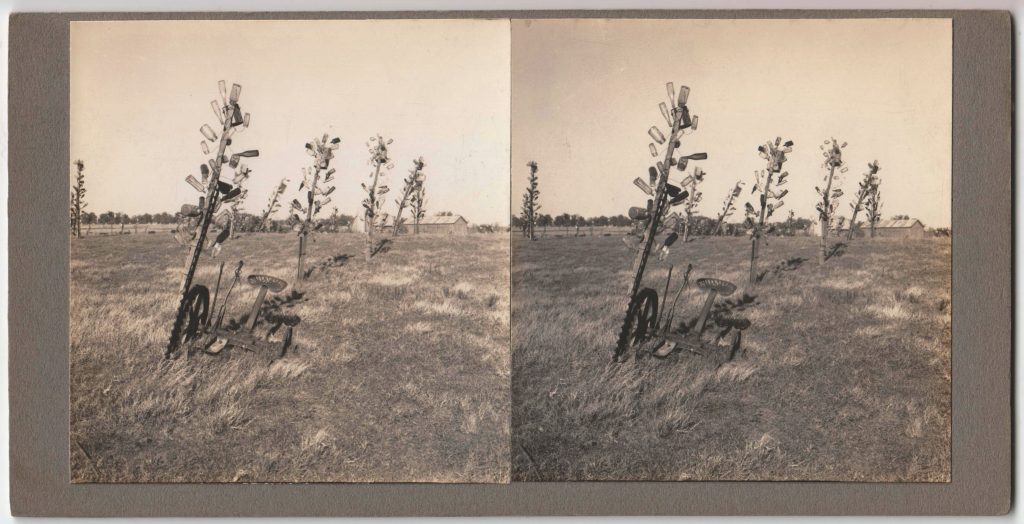 Winter Zero's Bottle Farm, machinery with bottle trees, October 12, 1939