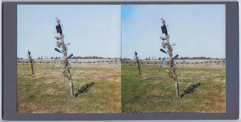 Winter Zero's Bottle Farm, bottle pole with box colorized October 10, 1939