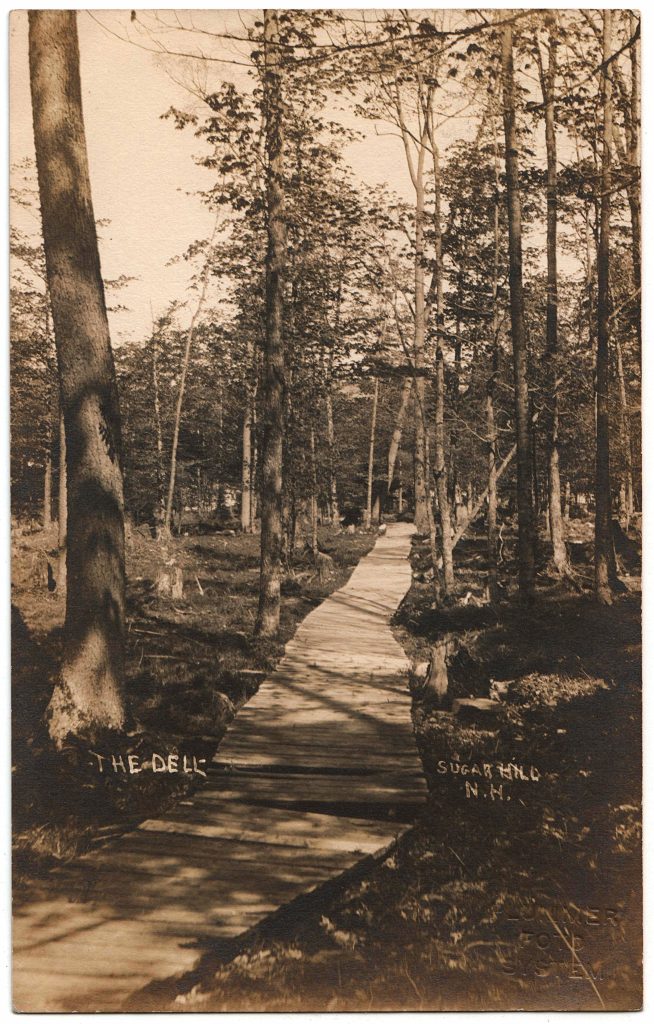 The Dell. Sugar Hill, NH